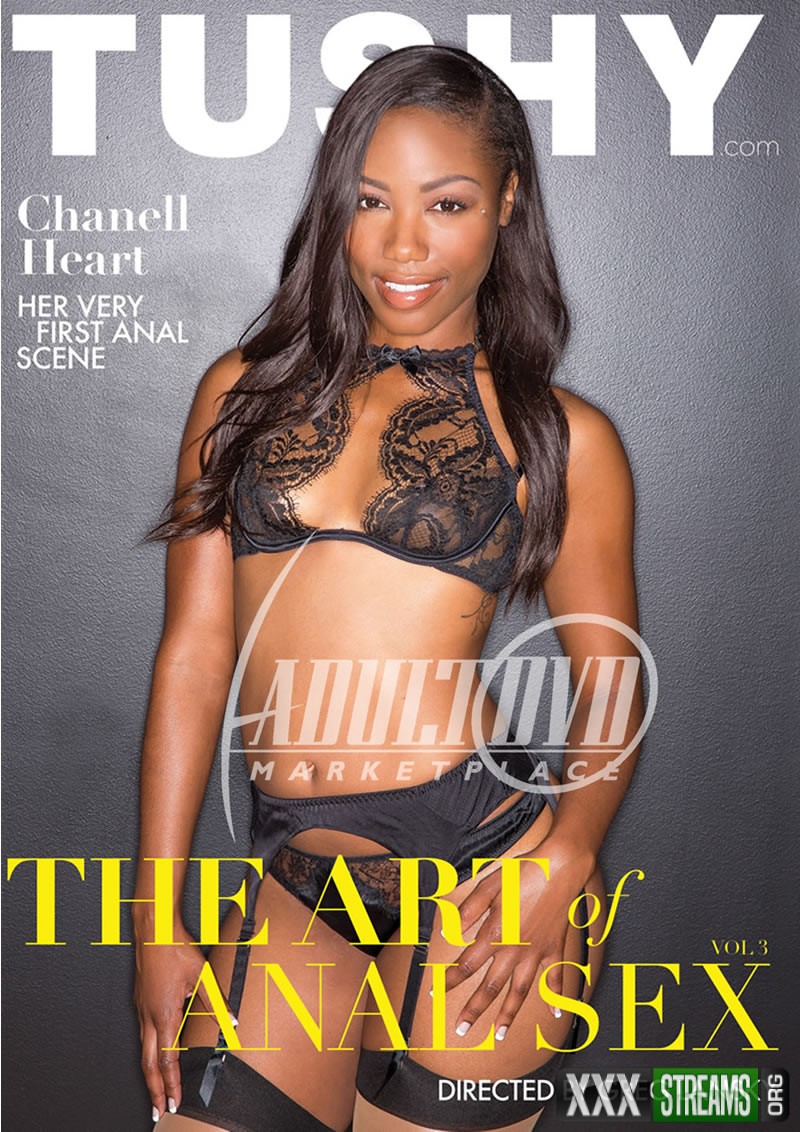 THE ART OF ANAL SEX 3